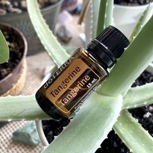 Tangerine Essential Oil 15mL - Brand New & Unopened